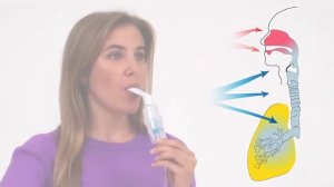 LITTLE DOCTOR | Ингалятор компрессорный LD-221C