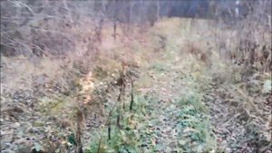 Военные мосты на ниву:  Как жрёт, как прёт?