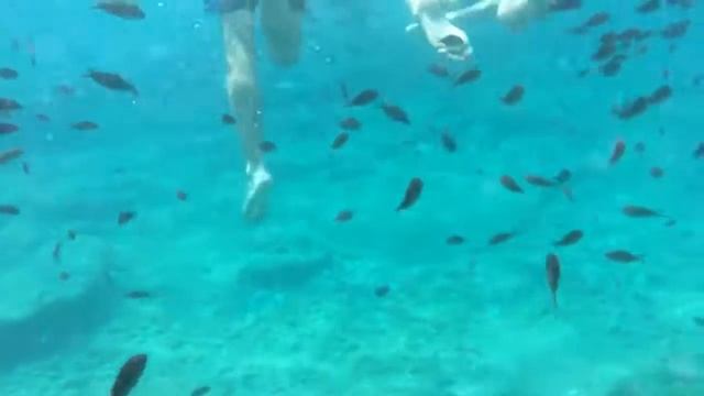 Fish - Kolymbia beach смотреть онлайн