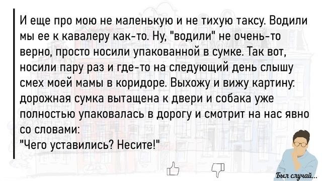 ?Большой Сборник Смешных,Интересных Историй Из Жизни,Для Супер Настроения На Весь День!Дайджест.