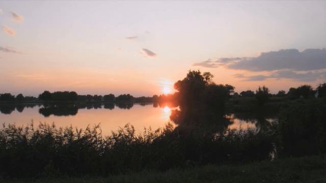 BIRDS'S & WHALES'S Unidentified DREAMS - Mix (Mozart, Last, Artemjev, Runceanu & Nature Sounds) смотреть онлайн