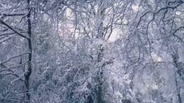 Убаюкивающие Звуки Метели для Сна и Отдыха смотреть онлайн