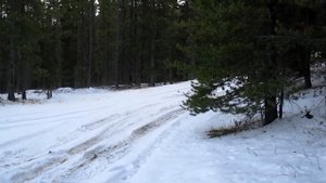 Toyota Venza on winter Forest Service Road