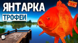 РР4/ рыбалка для души, ловим как универсал, общаемся 12.04.24