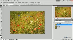 Как сделать траву зеленее в Фотошопе