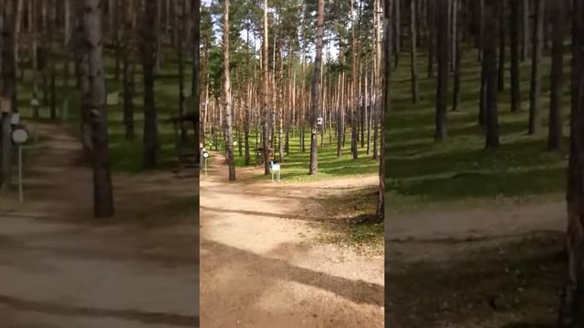 Белокуриха Санаторий "Катунь" !!!