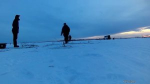 Рыбалка на озере Ендра (Эндра) с 09 по 10.12. 2017 года. Или как лучше приманить окуня (Лайфхак)