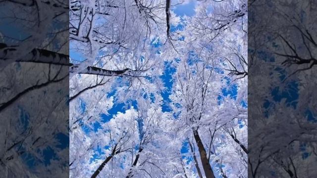 С первым днём зимы 🤩😍☺️ смотреть онлайн