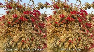 Samsung Galaxy S23 Plus VS iPhone 14 Pro Camera Test Comparison