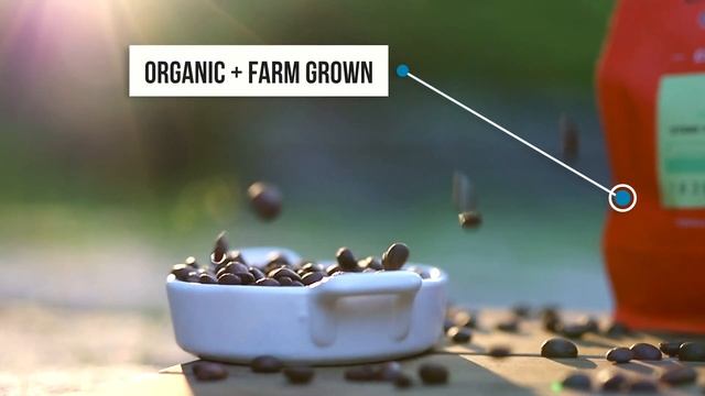 Canon 1dxmk2 vs 5Dmk4 vs 6Dmk2- Partnership with Fellow Filmmaker in RI. смотреть онлайн