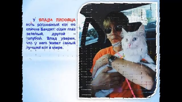 звездные питомцы