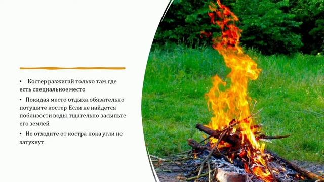 Окружающий мир,"Будь природе другом",2 класс смотреть онлайн