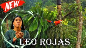 ♫ Лео Рохас Лучшее ♫ The Best Of Leo Rojas ♫