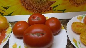 Крупный, мясистый! Томат Невис с Азорских островов. Дегустация.