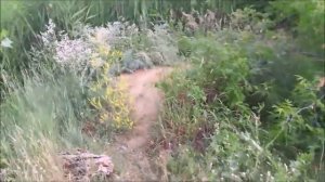 Ачаирский монастырь Омская область Омск