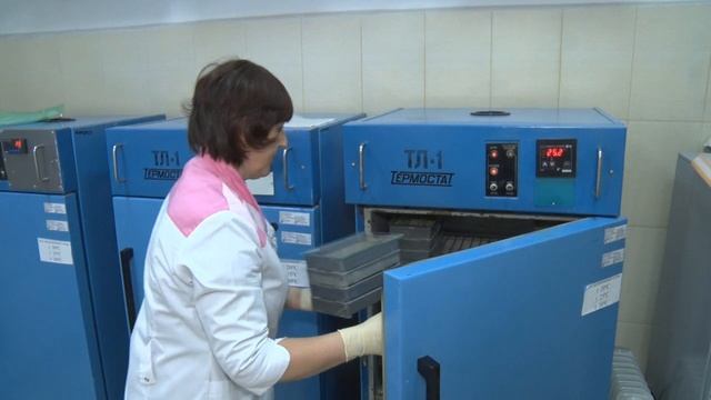 Проверка семян.mp4 смотреть онлайн