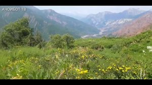 Высокие  горы  Таджикистана