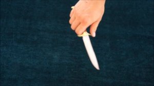 Нож Норвежец (сталь 110Х18МШД) Крутов В.