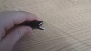 Лепим сома (полная версия)