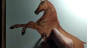 Лошадь на дыбах. Цветные карандаши.