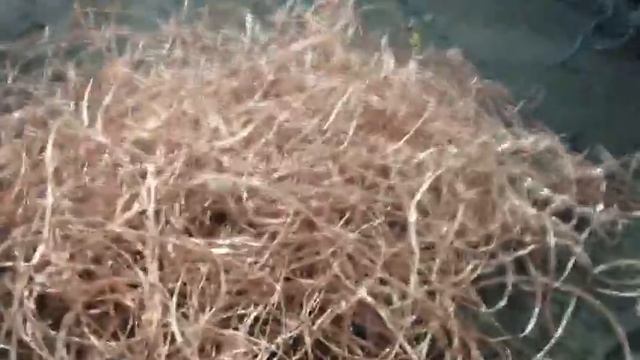 ООО «НовоТех» - разделка медного провода (волосы) на ШКРС-09М смотреть онлайн