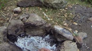 Приготовление дождевых (земляных) червей