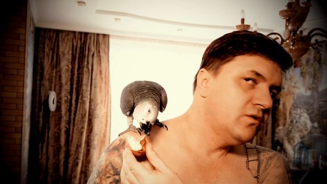 КОРОЧЕ ГОВОРЯ, мой ПОПУГАЙ отобрал у меня МОРОЖЕНОЕ..😱.