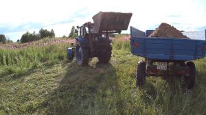 Мтз 82, самодельный погрузчик, погрузка песка