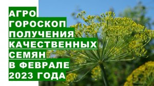 Агрогороскоп для получения качественных семян цветов и овощей на февраль 2023 года