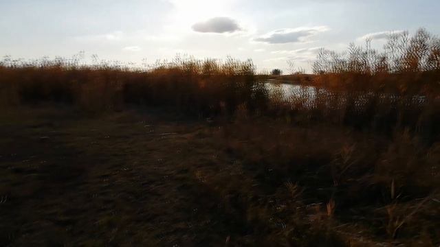 ВЛОГ : ПАПА ЖЕНЯ НА РЫБАЛКЕ . смотреть онлайн