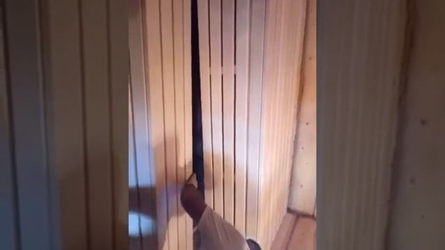 Липовый полок смотреть онлайн