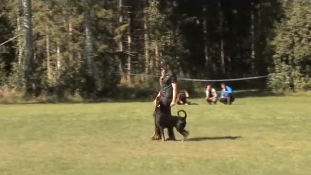 BH-Test Diragos Slipknot "Syko" смотреть онлайн