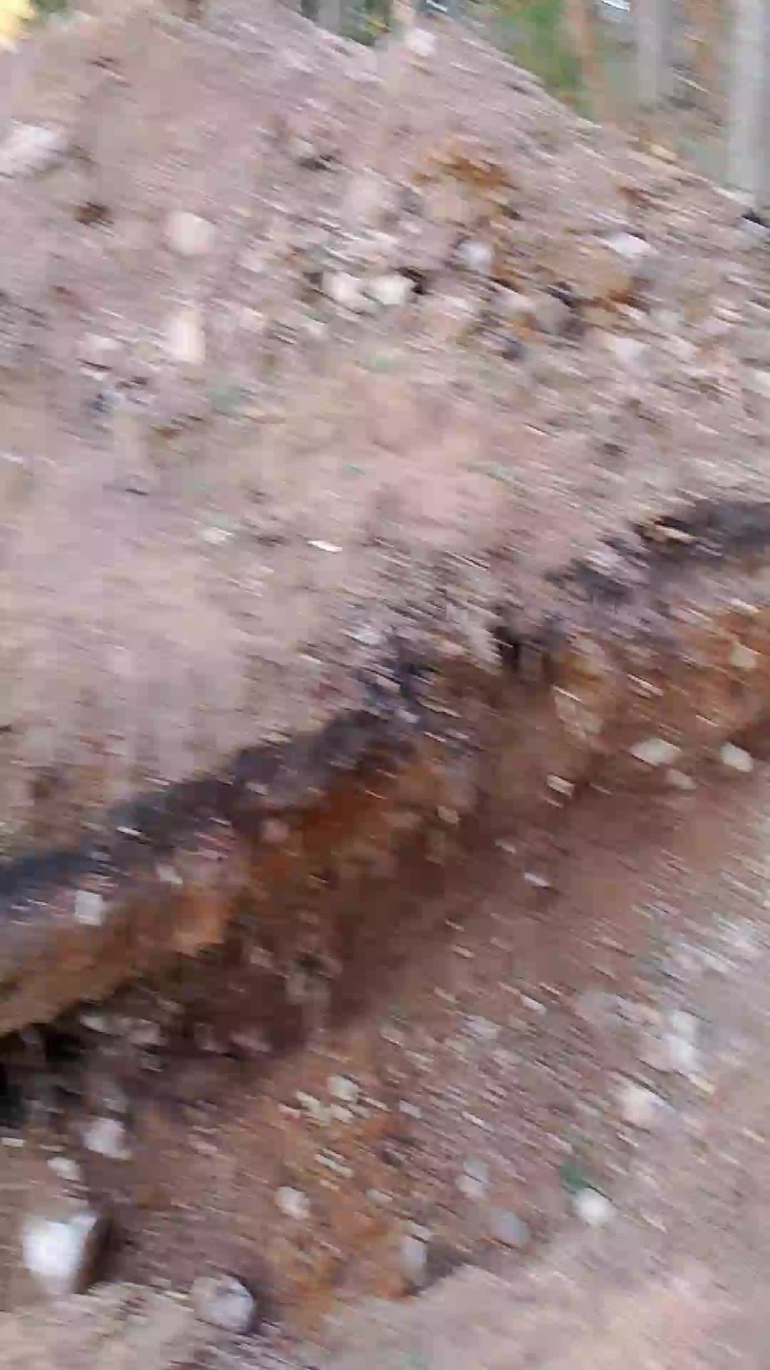 лчлв