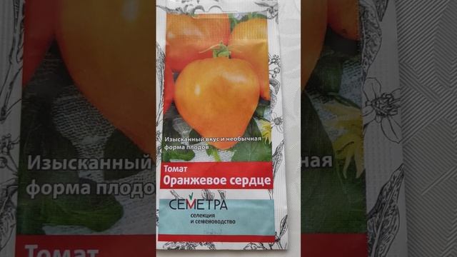 Томат ОРАНЖЕВОЕ СЕРДЦЕ