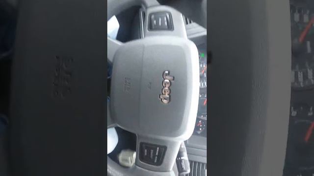 Аномальная погода для декабря