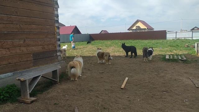 Летом на санках смотреть онлайн