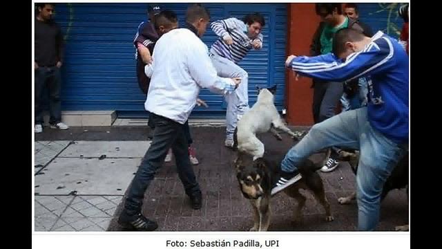 vuela alto lechxza! смотреть онлайн