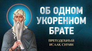 Исаак Сирин — 14 Об одном укоренном брате — избранное