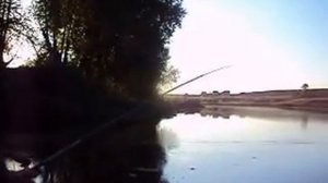 Ловля карпа в Камышево