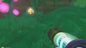 Как найти сокровищницы в игре Слайм Ренчер