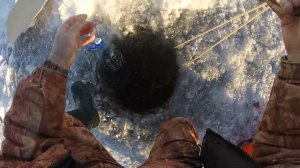 Перемёты на налима и язя на Оби. Начало сезона. Первая проверка.