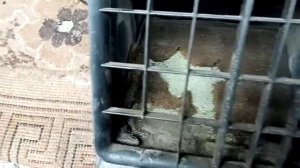 дует холодный воздух в ноги пассажиров Мазда Титан (Mazda titan)