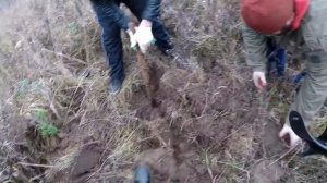 МУЖИК показал МЕСТО где копать и НЕПОЖАЛЕЛ об этом!