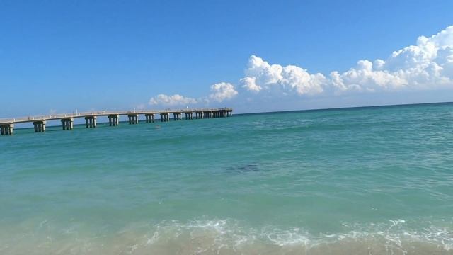 Атлантический скат-бабочка - опасное сближение!!! смотреть онлайн