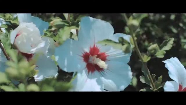 Презентация новой коллекции детских платьев 2018 бренда TRINITY BRIDE