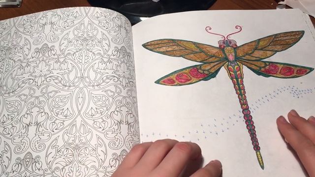 Зачарованный лес ? смотреть онлайн