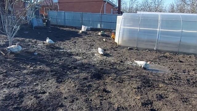10 Причин по которым мы выбрали переезд в Выселки Краснодарского края