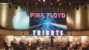 "Tribute to Pink Floyd" Денис Шаповалов и Омский академический симфонический оркестр