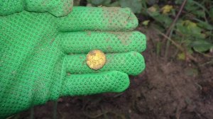 Коп по войне. Артиллерийский лес. Осень 2022