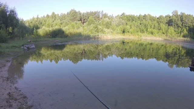 Кастинговый твитч спиннинг Maximus manic 7-35 гр, 210, 115 гр. Честный обзор смотреть онлайн